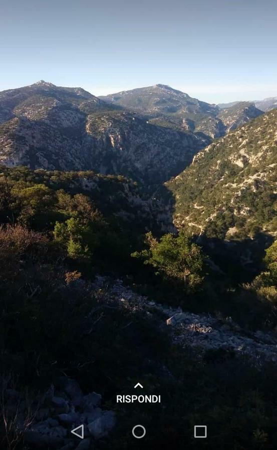 Corraleddu Apartments Dorgali Exteriér fotografie